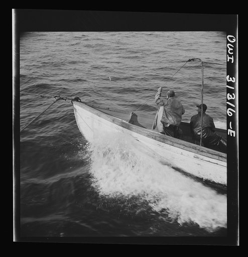 On board the fishing boat Alden, out of Gloucester, Massachusetts. Gloucester fishermen chasing a school of mackerel