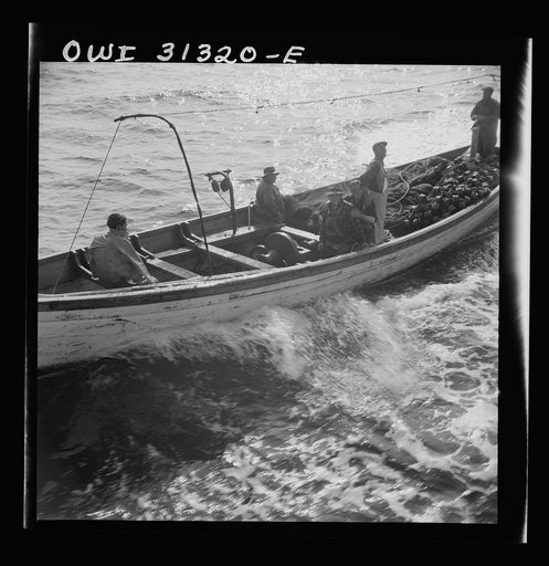 On board the fishing boat Alden, out of Glocester, Massachusetts. Fishermen chasing a school of mackerel
