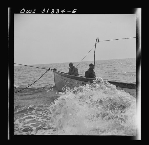 On board the fishing boat Alden, out of Gloucester, Massachusetts. Fishermen chasing a school of mackerel