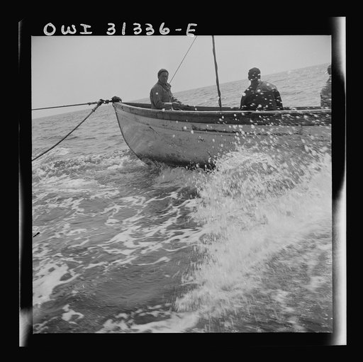 Untitled photo, possibly related to: On board the fishing boat Alden, out of Gloucester, Massachusetts. Fishermen chasing a school of mackerel