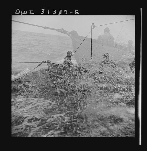 Untitled photo, possibly related to: On board the fishing boat Alden, out of Gloucester, Massachusetts. Fishermen chasing a school of mackerel