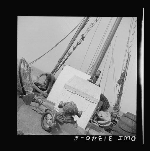 Untitled photo, possibly related to: On board the fishing boat Alden, out of Glocester, Massachusetts. Fishermen cleaning mackerel