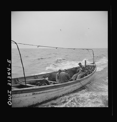 Untitled photo, possibly related to: On board the fishing boat Alden, out of Glocester, Massachusetts. Fishermen chasing a school of mackerel