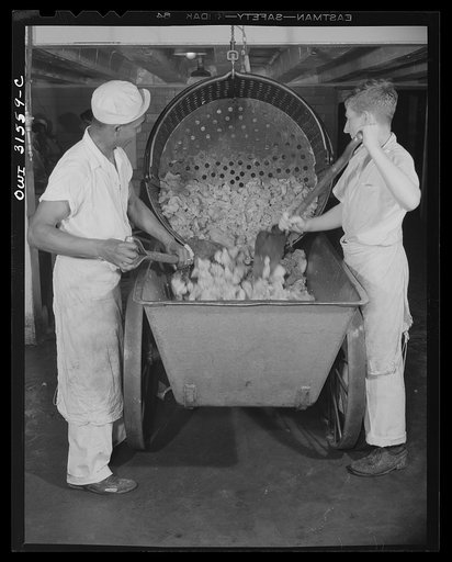 Cincinnati, Ohio. Preparing canned pork (Russian: "svinaia tushonka") for lend-lease shipment to the USSR at the Kroger grocery and baking company.  Removing pork from a container, after treating it for twenty percent shrinkage. Henderson Fuller, (left), age forty, used to do construction work