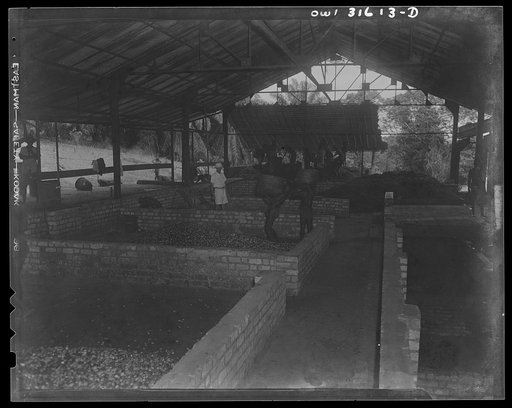 Untitled photo, possibly related to: Trechot Trading Company palm oil factory at Etoumbi, Moyen Congo bush, French Equatorial Africa. Seperated kernels are stored in these vats until ready for shipment. They go to England and America to make oleomargarine and other foodstuff