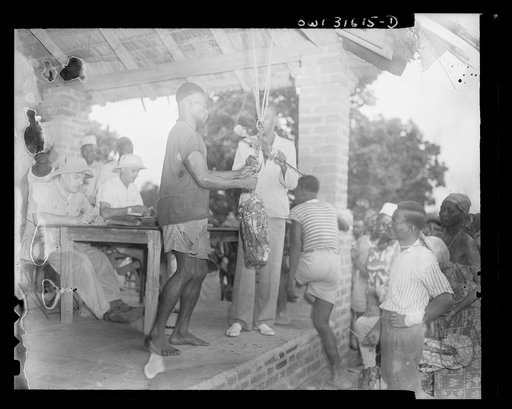 Untitled photo, possibly related to: Moyen Congo bush, French Equatorial Africa. The trading activities of Africa. Rubber. Majordomo weighing the bundle brought in by the native boy in striped jersey at right