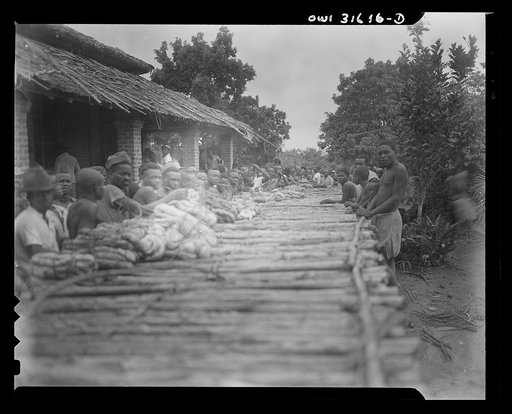 Lebango, Moyen Congo bush, French Equatorial Africa. Monthly wild rubber market at which natives sell what they have gathered to administered or commercial representatives. On this long table made of branches, the natives deposit their rubber while they await their turn at the scales