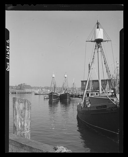 Gloucester, Massachusetts. Fishing boats docked along the wharf