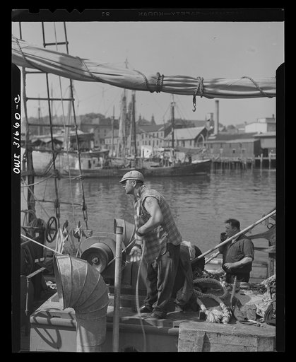 Fishermen operating power-driven hoister that lifts huge baskets of fish from the holds of the boats. Gloucester, Massachusetts