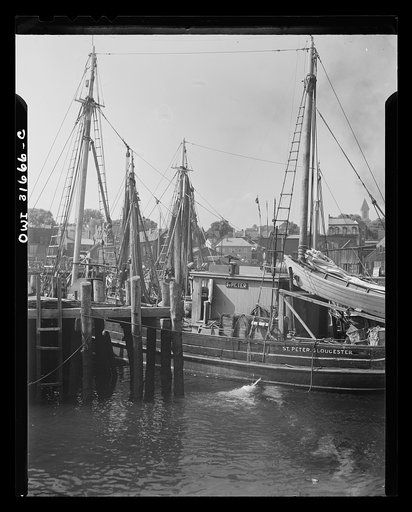 Gloucester, Massachusetts. Fishing wharves