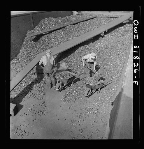 Shovelling coal to feed the boilers aboard the towboat Charles T. Campbell on the Ohio River