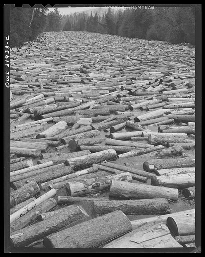 Spring pulpwood drive on the Brown Company timber holdings in Maine. Pulpwood in the Kennebago River waiting to be boomed out into Mooselookmeguntic Lake