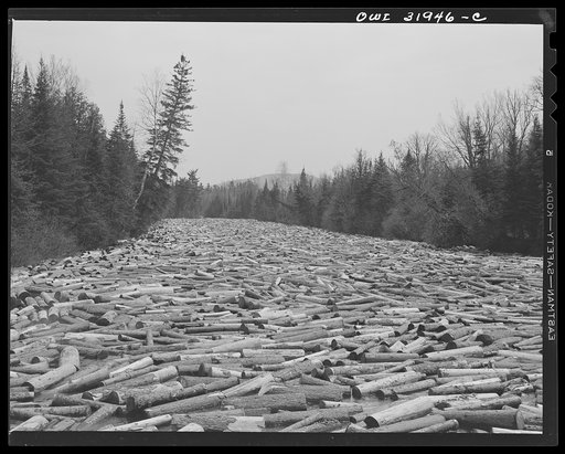 Spring pulpwood drive in Brown Company lumber holdings in Maine. Pulpwood in Kennebago River