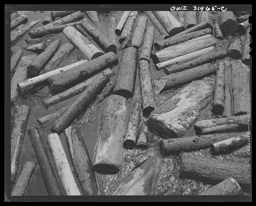 Spring pulpwood drive on the Brown Company timber holdings in Maine.