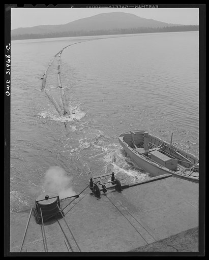 Spring pulpwood drive on the Brown Company timber holdings in Maine. On its return trip up Mooselookmeguntic Lake, the steamer tows an empty boom to be refilled with the next day's load