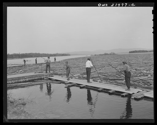 Spring pulpwood drive on the Brown Company timber holdings in Maine. Woodsmen with pikes feeding logs into the sluiceway of the upper dam at foot of Mooselookmeguntic Lake