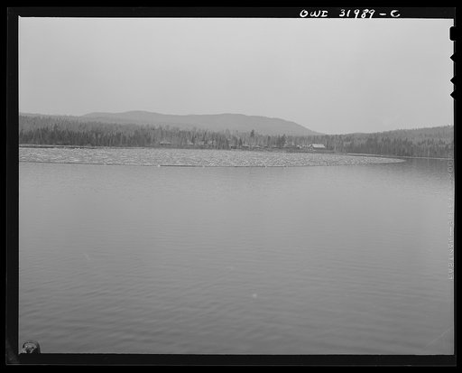 Spring pulpwood drive on the Brown Company timber holdings in Maine. The boom full of logs is pulled free from the shore on the first lap of its trip down Mooselookmeguntic Lake
