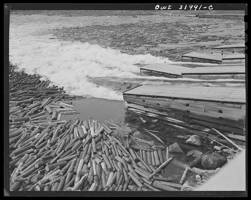 Spring pulpwood drive on Brown Company timber holdings in Maine. Pulp wood sluicing through the upper dam at the foot of Mooselookmeguntic Lake