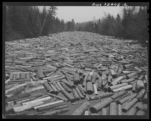 Spring wood pulp drive on the Brown Company timber holdings in Maine. Pulp wood in the Kennebago River waiting to be boomed out into Mooselookmeguntic Lake