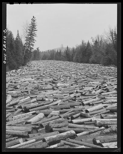 Spring wood pulp drive on the Brown Company timber holdings in Maine. Pulp wood in the Kennebago River waiting to be boomed out into Mooselookmeguntic Lake