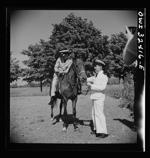 Untitled photo, possibly related to: Oswego, New York. Polish naval officer riding a horse at a farm where the heroes were entertained during United Nations week