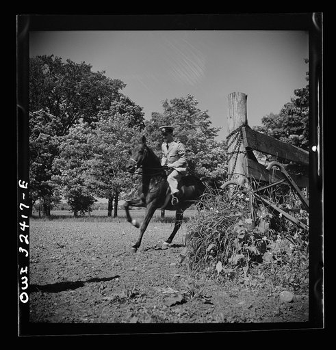Untitled photo, possibly related to: Oswego, New York. Belgian sailor riding at a farm where the heroes were entertained during United Nations week
