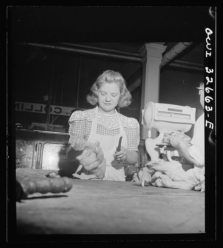 Untitled photo, possibly related to: Washington, D.C. Betty Jane Colbert, a worker at the Arcade butcher shop, dismembering a chicken