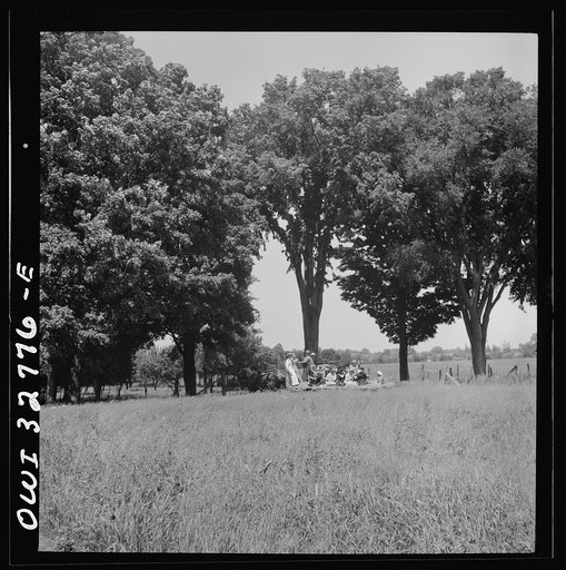 Untitled photo, possibly related to: Oswego, New York. Hay ride for the United Nations heroes and Oswego girls during United Nations week