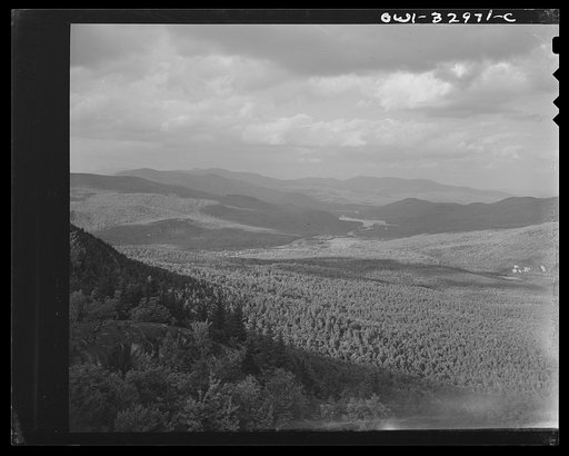 Gorham (vicinity), New Hampshire. A view looking northeast from the fire tower manned by Barbara Mortensen, a fire and airplane lookout on Pine Mountain