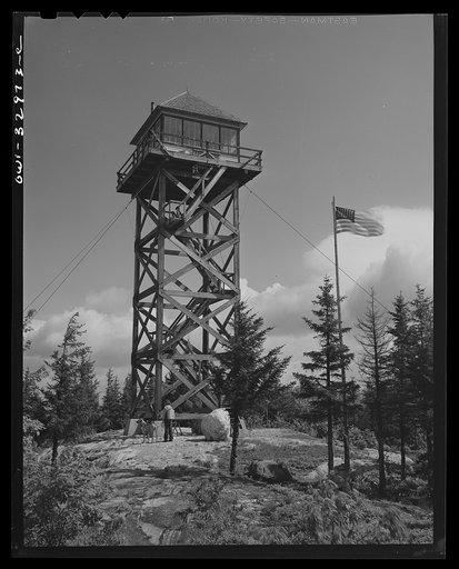 Gorham (vicinity), New Hampshire. Barbara Mortensen, a fire and airplane lookout on Pine Mountain, leaving to get water from a spring half a mile down the mountain. Beside her is her dog, Brenda, a constant companion on her lonely job