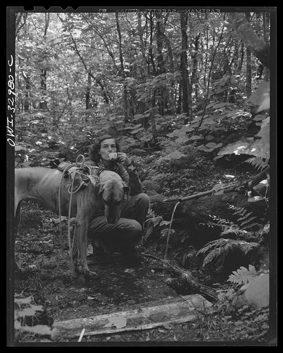 Untitled photo, possibly related to: Gorham (vicinity), New Hampshire. Barbara Mortensen, a fire and airplane lookout on Pine Mountain, drinking at the spring before starting the half-mile climb back to the tower with drinking water