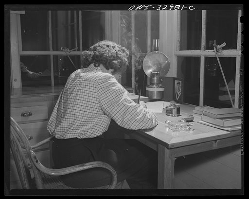 Untitled photo, possibly related to: Gorham (vicinity), New Hampshire. Reading matter, and the companionship of her Great Dane, Brenda, are the only things to dispel the loneliness of the evenings in the tower for Barbara Mortensen, a fire and airplane lookout on Pine Mountain