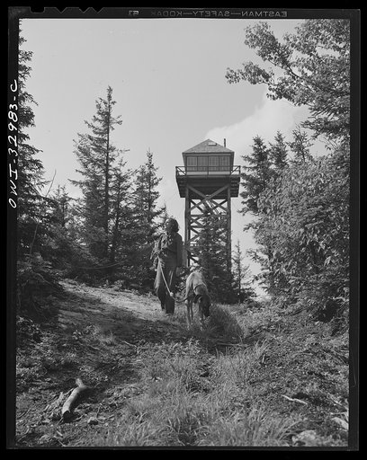 Gorham (vicinity), New Hampshire. Barbara Mortensen, a fire and airplane lookout on Pine Mountain, starting down the mountain to get water from a spring a half mile from the fire tower