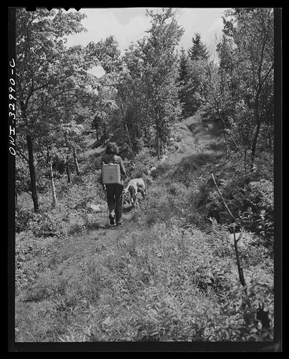 Gorham (vicinity), New Hampshire. Barbara Mortensen, a fire and airplane lookout on Pine Mountain, bound down the mountain a half mile to the spring where she gets her drinking water, and if there is no rain, her wash water too. On her back is strapped a metal water pack, which holds three gallons a