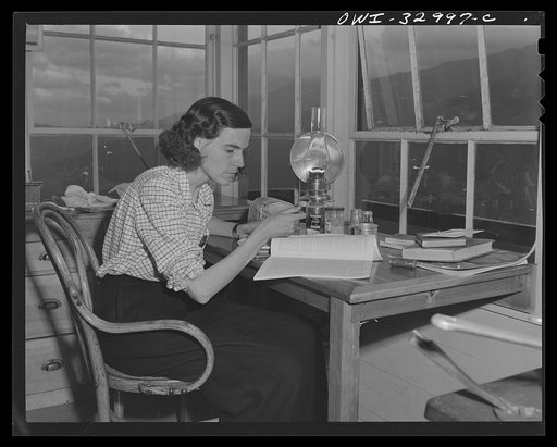 Gorham (vicinity), New Hampshire. Reading matter, and the companionship of her Great Dane, Brenda, are the only things to dispel the loneliness of the evenings in the tower for Barbara Mortensen, a fire and airplane lookout on Pine Mountain