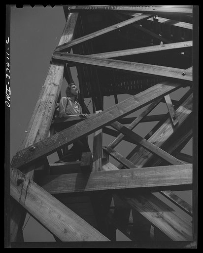 Untitled photo, possibly related to: Gorham (vicinity), New Hampshire. Barbara Mortensen, a fire and airplane lookout on Pine Mountain does all her cooking in the tower. Wood and water must be carried up fifty-six steps from the mountain top below