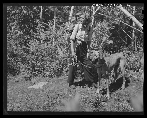 Untitled photo, possibly related to: Gorham (vicinity), New Hampshire. Barbara Mortensen, a fire and airplane lookout on Pine Mountain, climbing back to the tower after getting supplies at Gorham. She keeps her dog on a leash because of porcupines