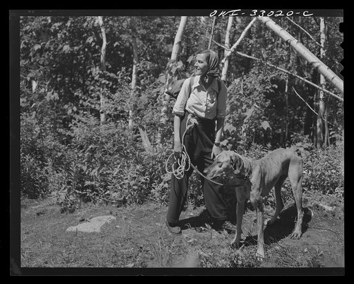 Untitled photo, possibly related to: Gorham (vicinity), New Hampshire. Barbara Mortensen, a fire and airplane lookout on Pine Mountain, climbing back to the tower after getting supplies at Gorham. She keeps her dog on a leash because of porcupines