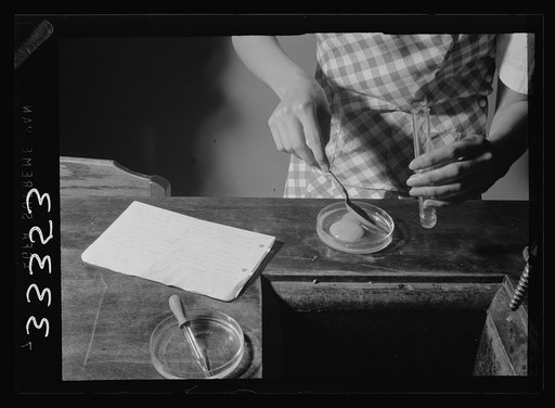 Untitled photo, possibly related to: Keysville, Virginia. Randolph Henry High School. Equipment in a chemistry class