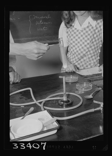Untitled photo, possibly related to: Keysville, Virginia. Randolph Henry High School. Equipment in a chemistry class