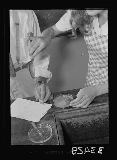 Untitled photo, possibly related to: Keysville, Virginia. Randolph Henry High School. Equipment in a chemistry class