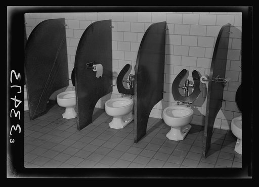 Keysville, Virginia. Randolph Henry High School. Lavatory facilities