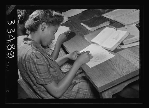 Keysville, Virginia. Central High School. A student of the biology class