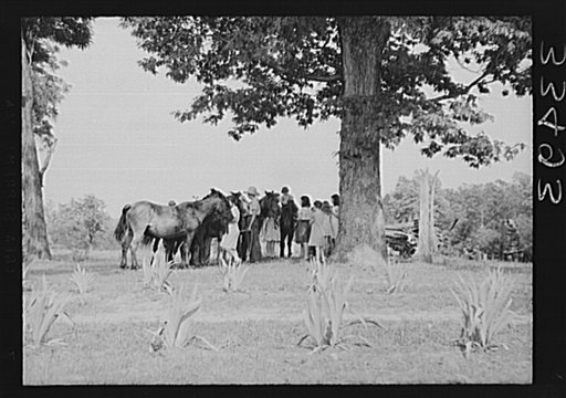 Untitled photo, possibly related to: Keysville, Virginia. Family of one of the students of Randolph Henry High School