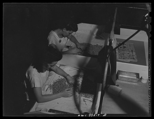 Untitled photo, possibly related to: Parke, Davis and Company, manufacturing chemists, Detroit, Michigan. Inspecting hermetically sealed filled gelatin capsules
