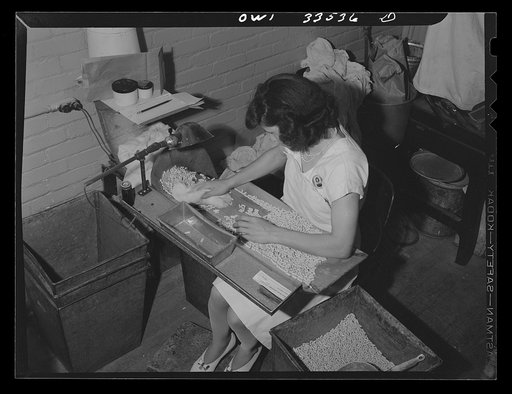 Parke, Davis and Company, manufacturing chemists, Detroit, Michigan. Cleaning filled gelatin capsules