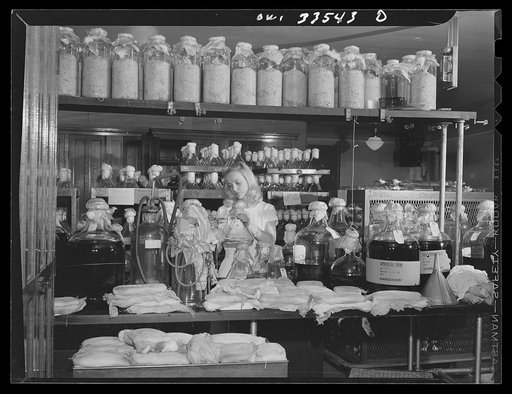 Parke, Davis and Company, manufacturing chemists, Detroit, Michigan. Incubating room in the biological department
