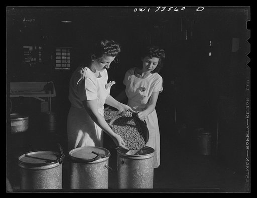 Parke, Davis and Company, manufacturing chemists, Detroit, Michigan. Filling gelatin capsules ready for transfer to the finishing department
