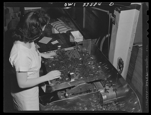 Parke, Davis and Company, manufacturing chemists, Detroit, Michigan. Counting empty gelatin capsules