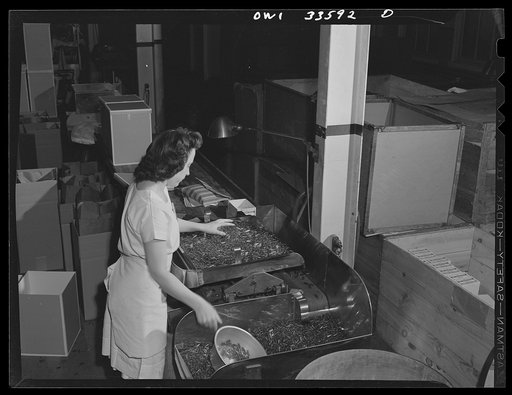 Parke, Davis and Company, manufacturing chemists, Detroit, Michigan. Counting empty capsules